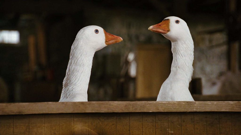 "Charlotte's Web" Animatronic Geese for Stan Winston Studio